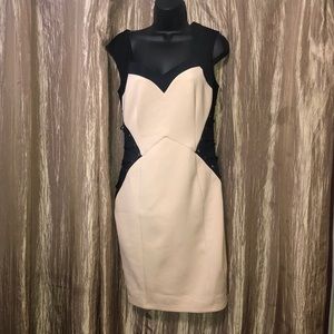 Lipsey London corset dress